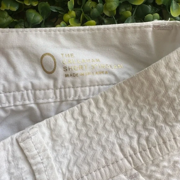 SOLD | Lilly Pulitzer SIZE 0 Callahan Shorts in White - Picture 4 of 5